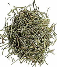 Rosemary - Rosmarinus officinalis L
